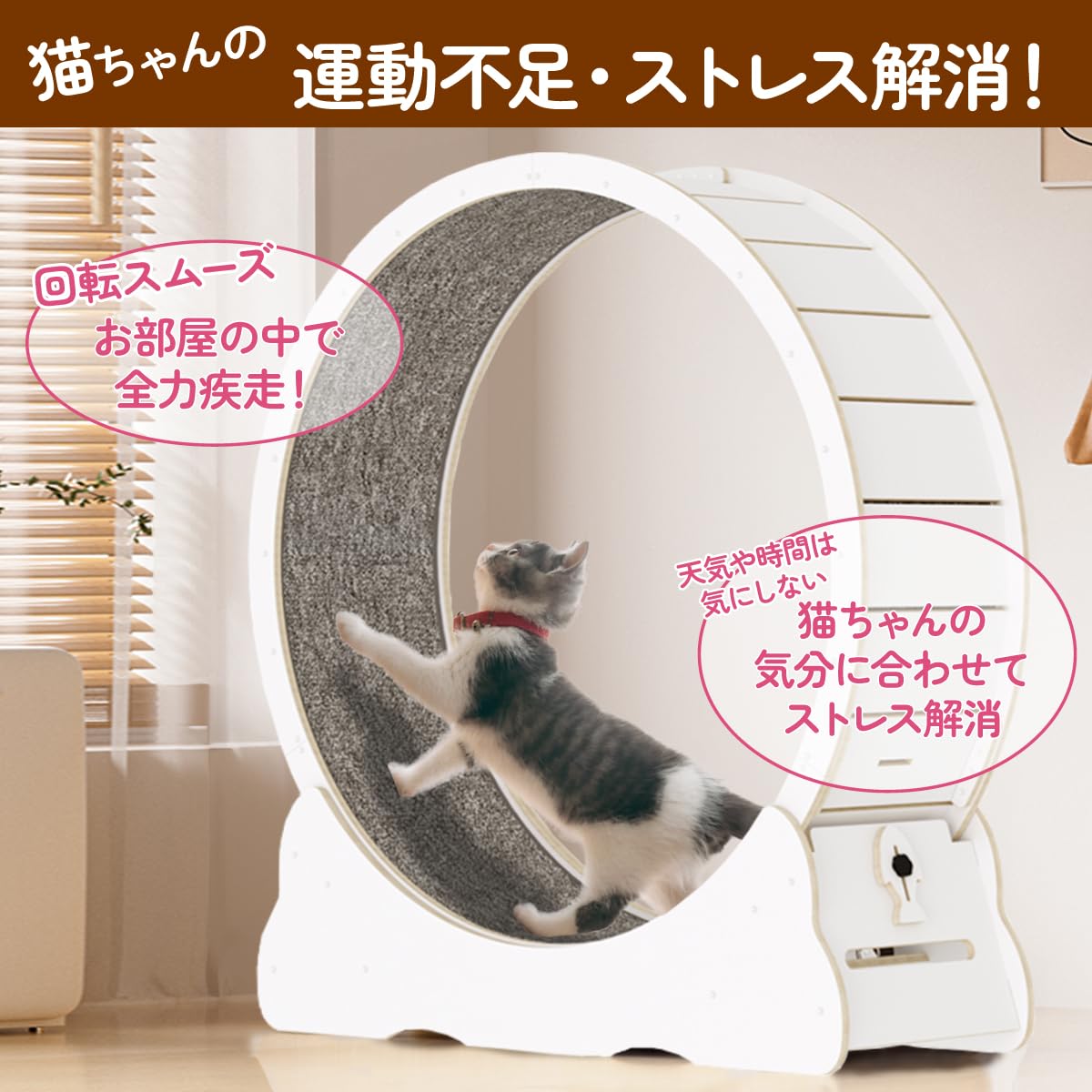 Amazon | Ciaobot キャットホイール 猫用 組み立て式 直径 90cm